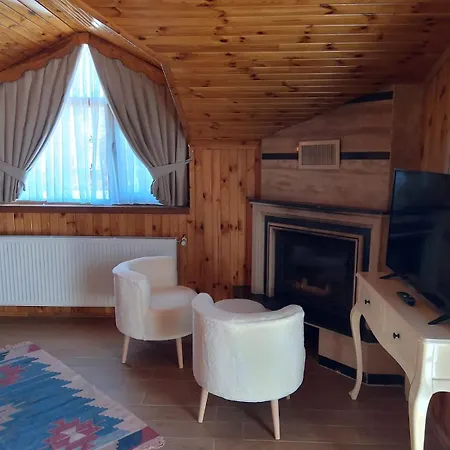 My Dream Hotel *
